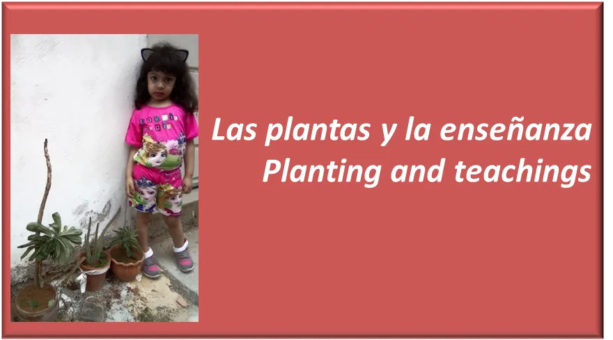 plantas.png