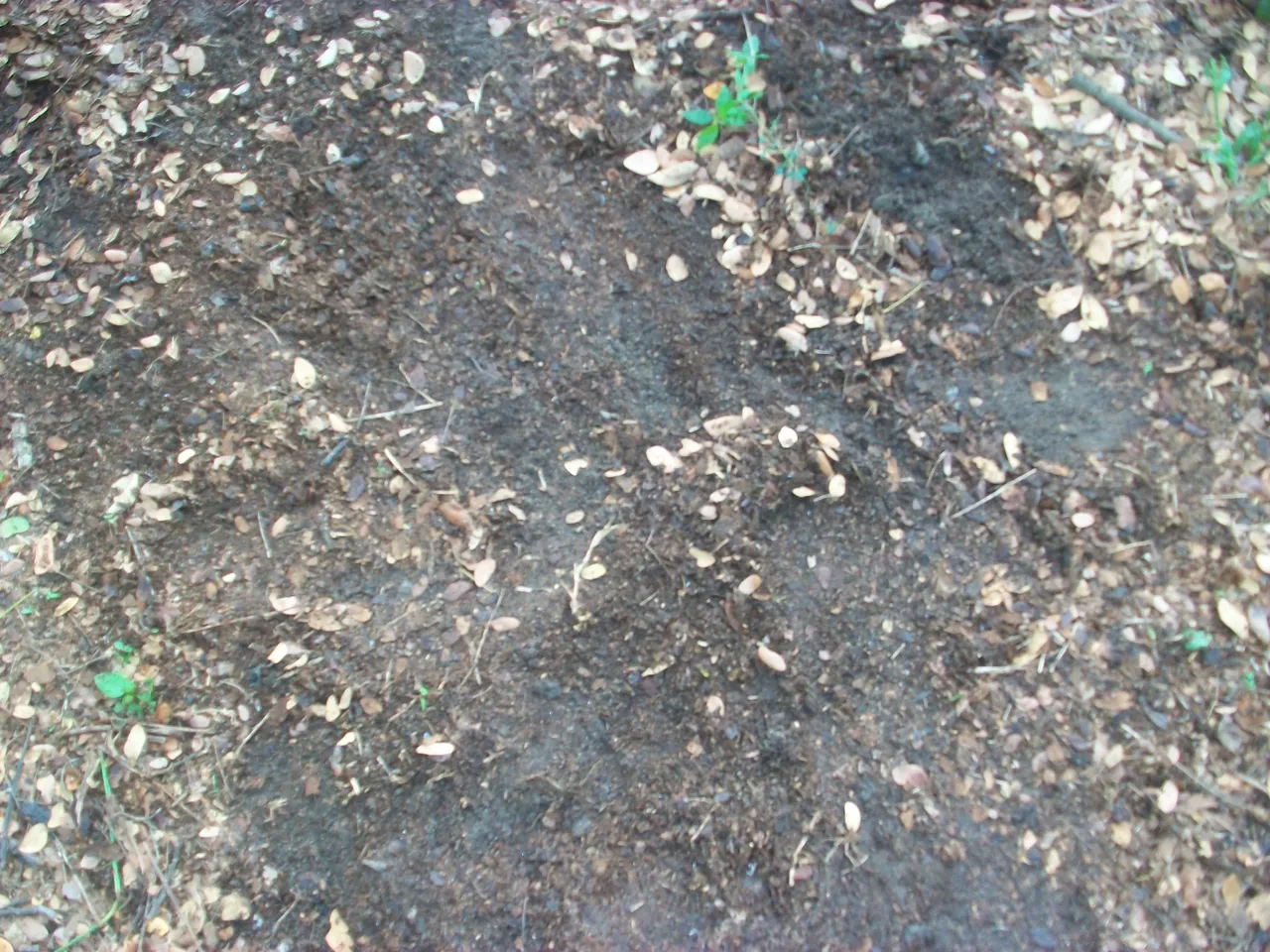 100_7108.JPG
