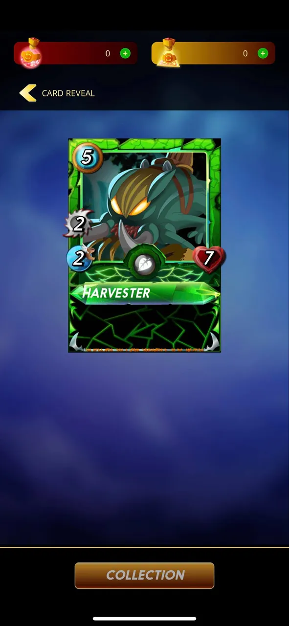 splinter.jpg