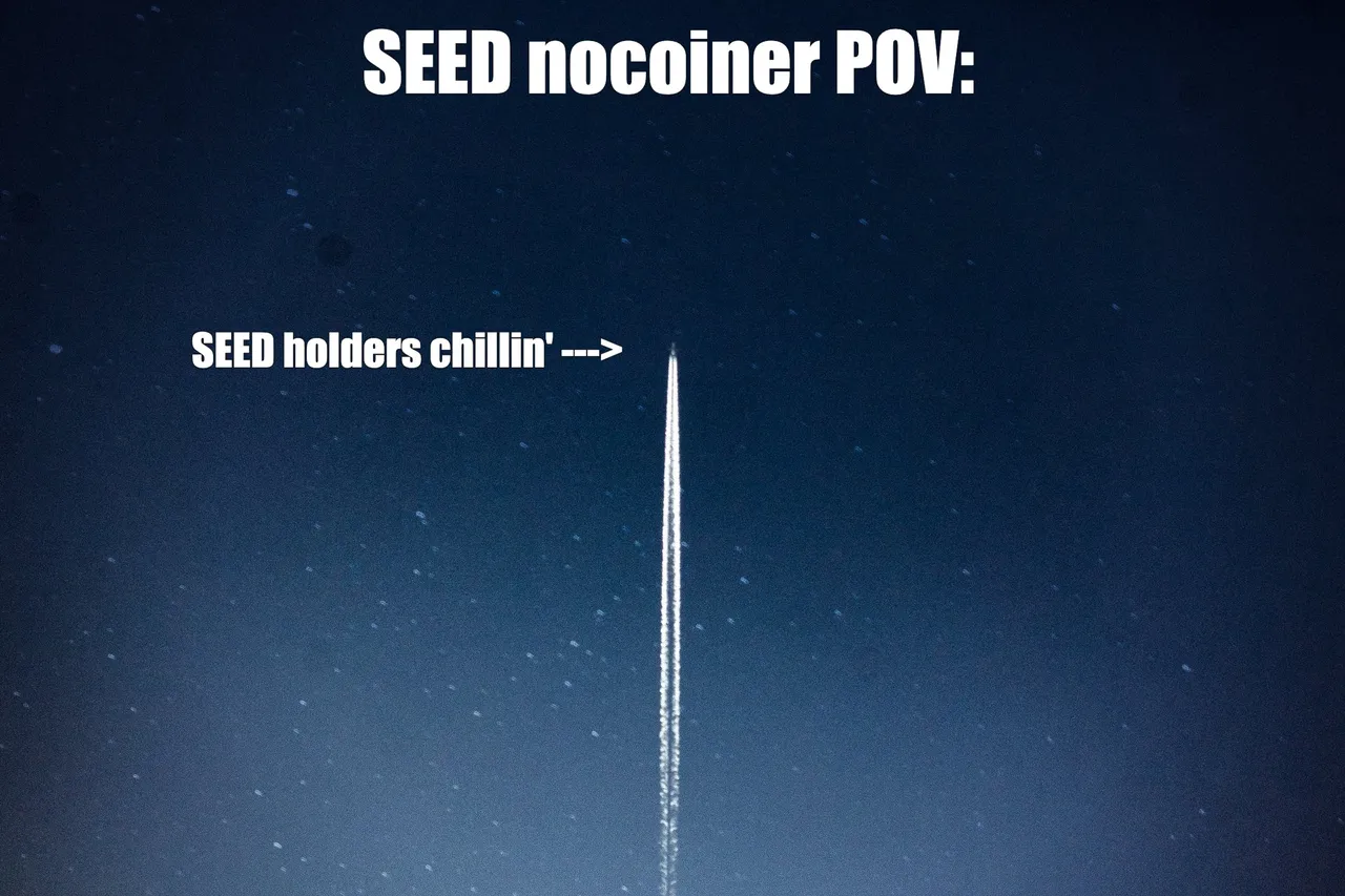 seedpov.jpeg