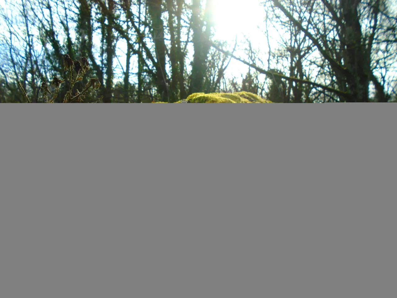 DSC01095.JPG