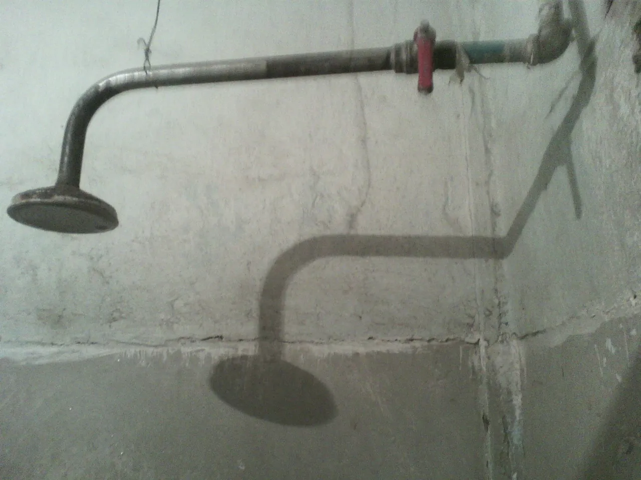 IMG00126.jpg