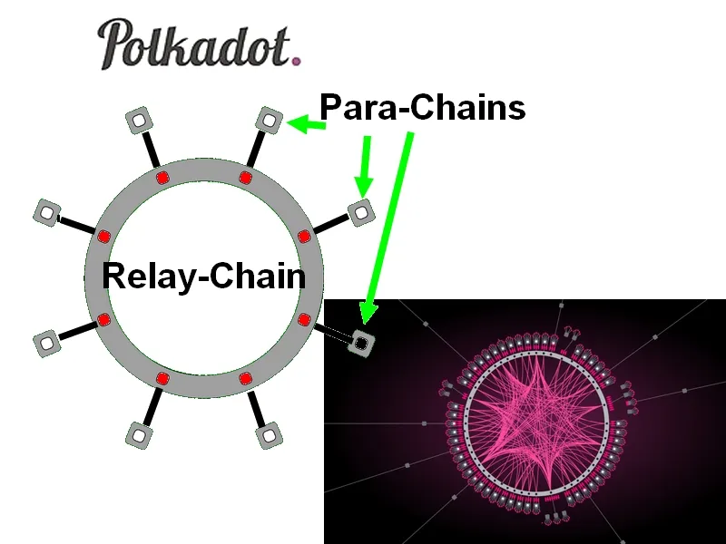 Polkadot.jpg