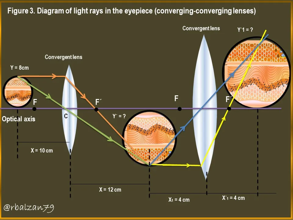 Figure_3.JPG