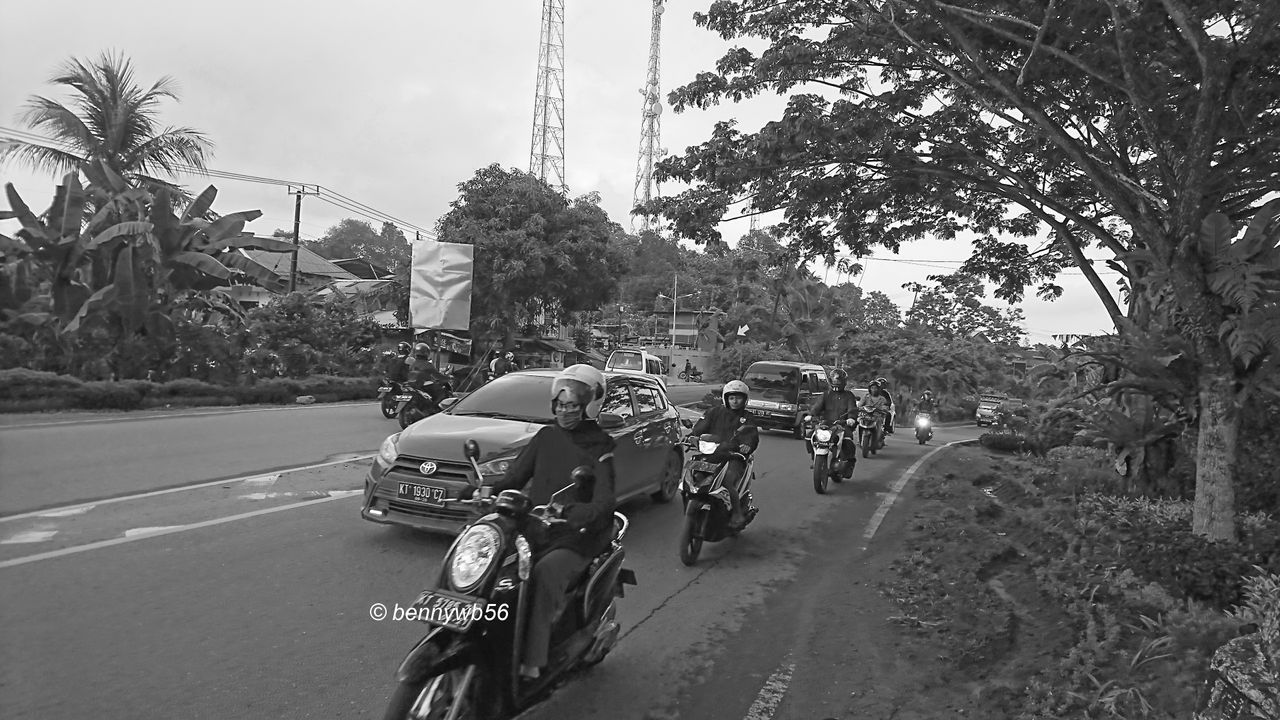 DSC_5806.JPG
