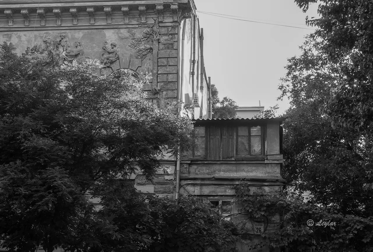 DSC01047.jpg