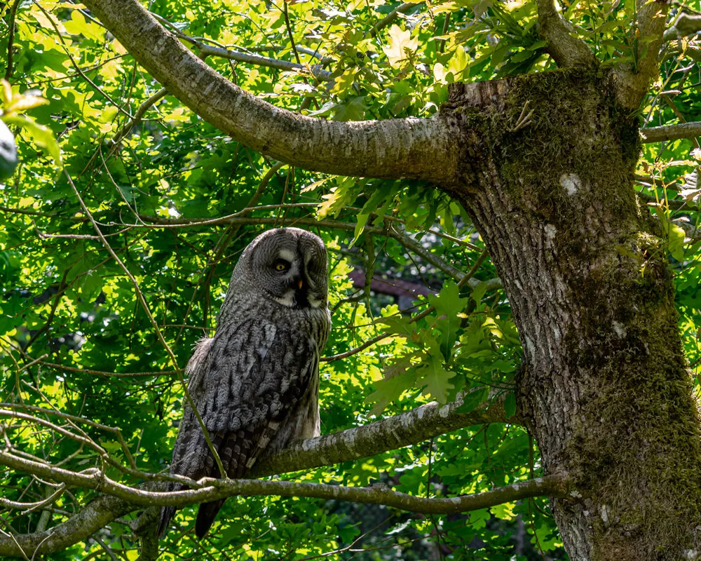 DSC_0349.jpg