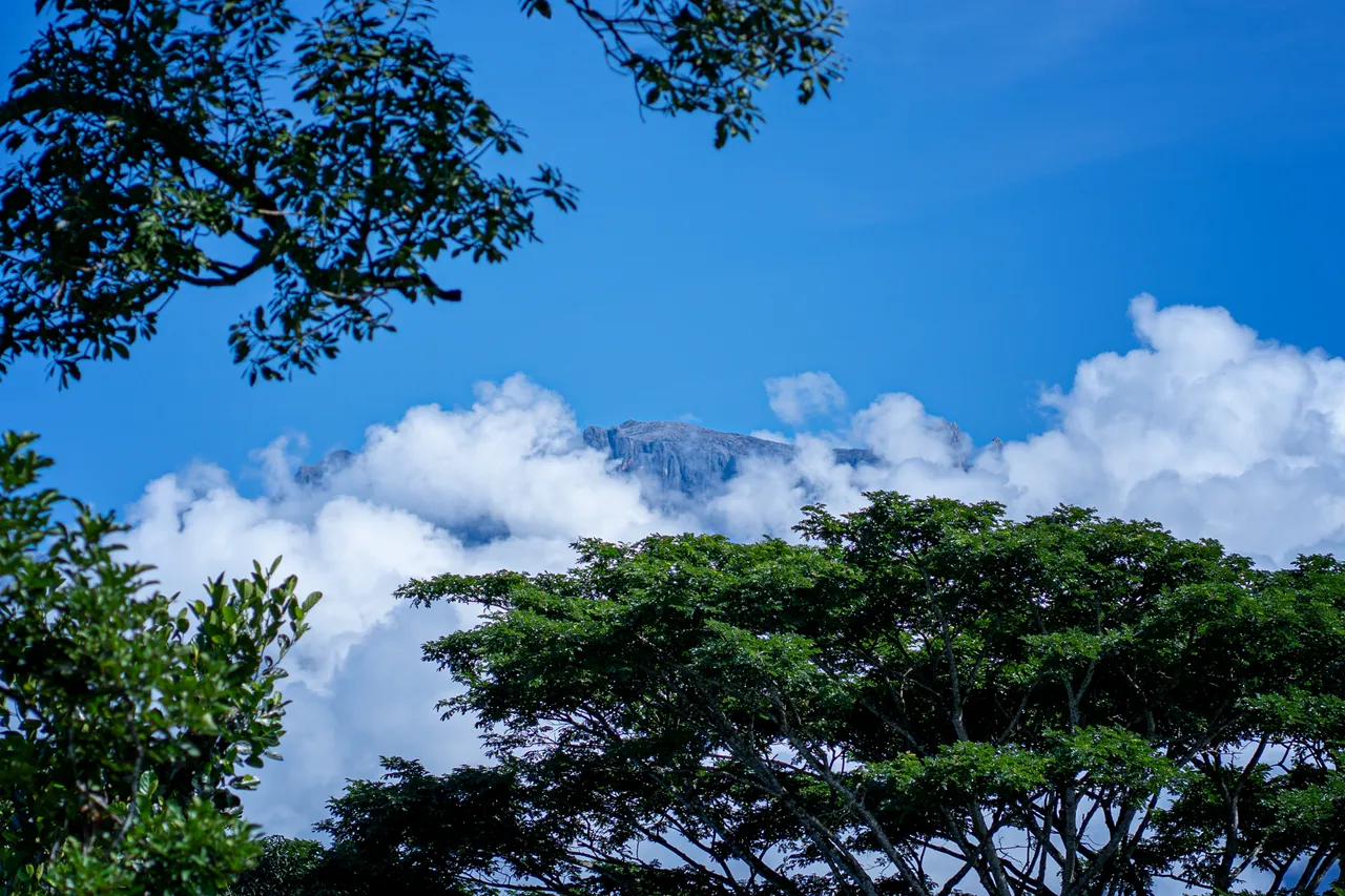 kinabalu.jpg