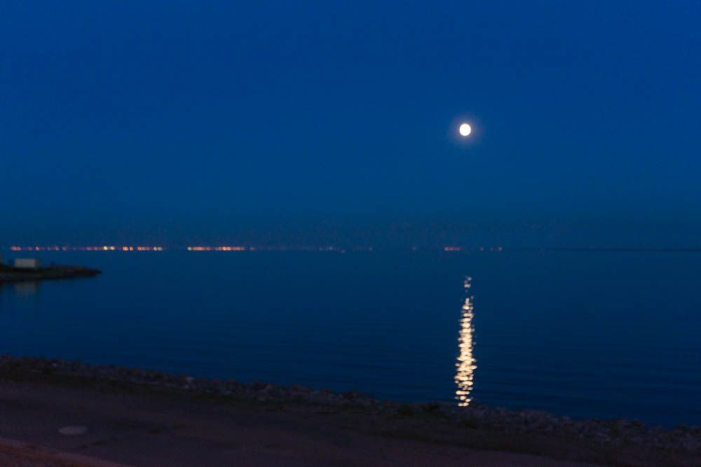DSC05140.jpg