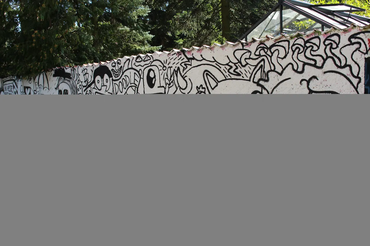 IMG_9098.JPG