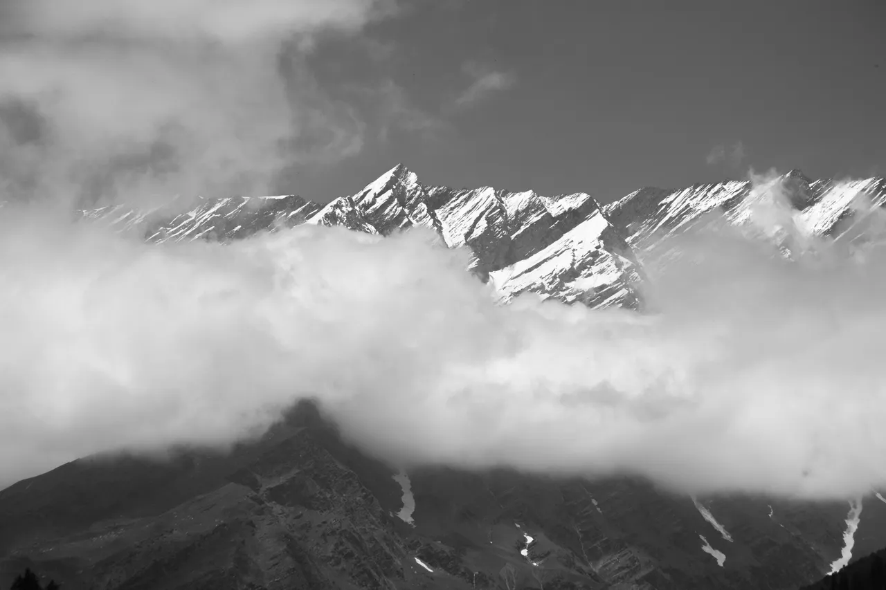 IMG_4114.JPG