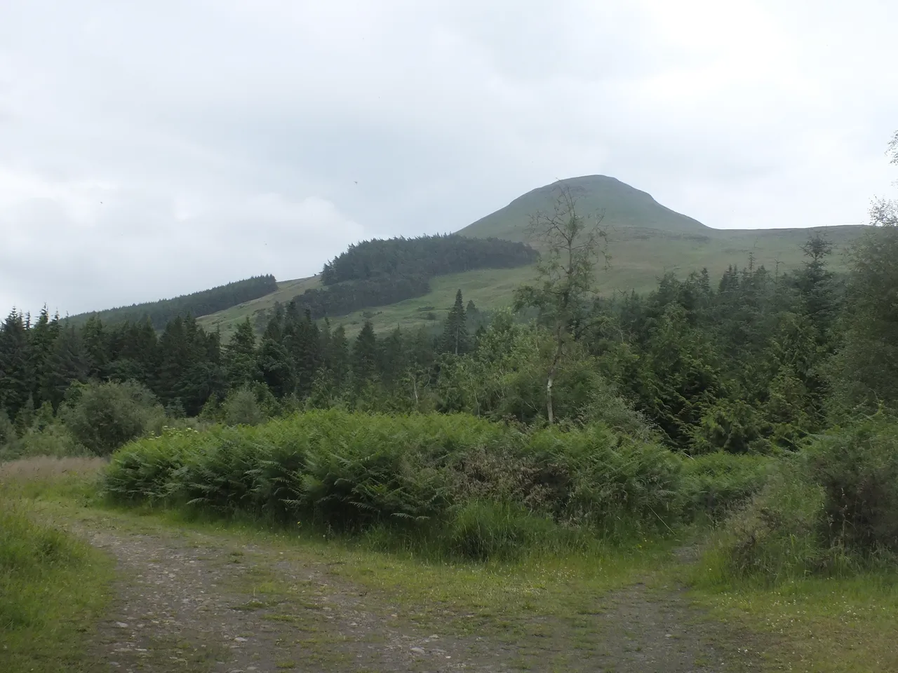 DSCF6506.JPG