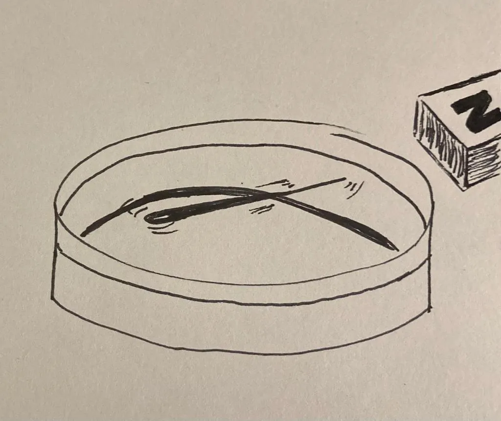 Compass.jpeg
