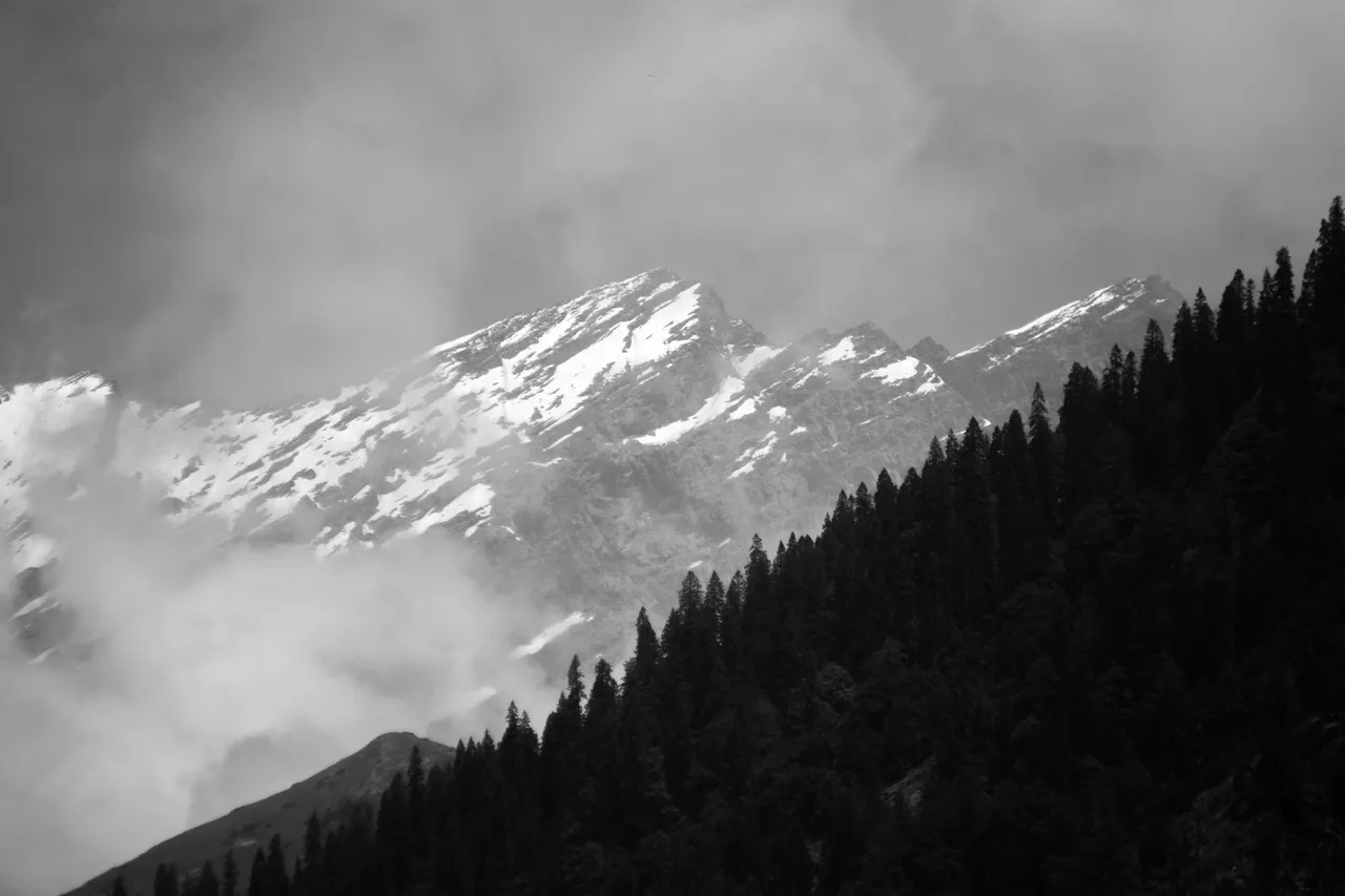 IMG_4113.JPG