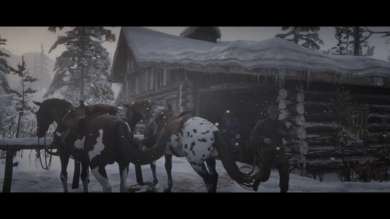 RDR2 (7).png