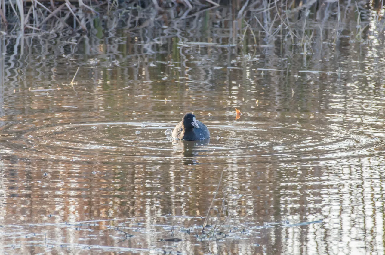DSC_5632.jpg