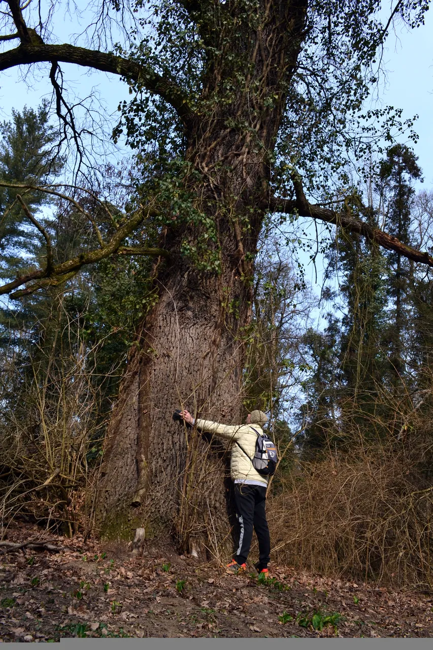 DSC_0052.JPG