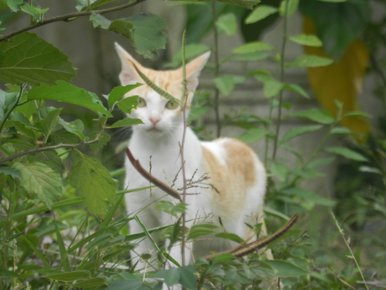 DSCN2655.JPG