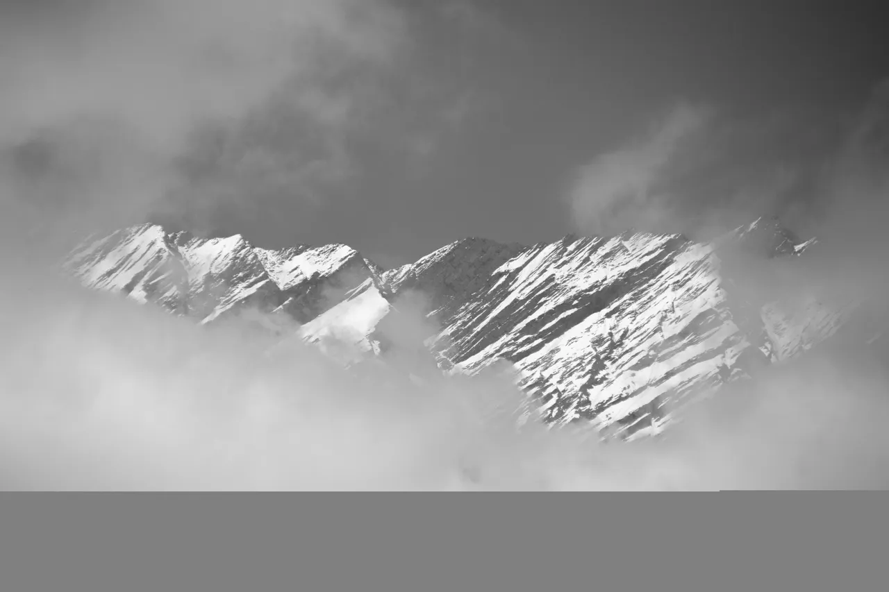 IMG_4116.JPG