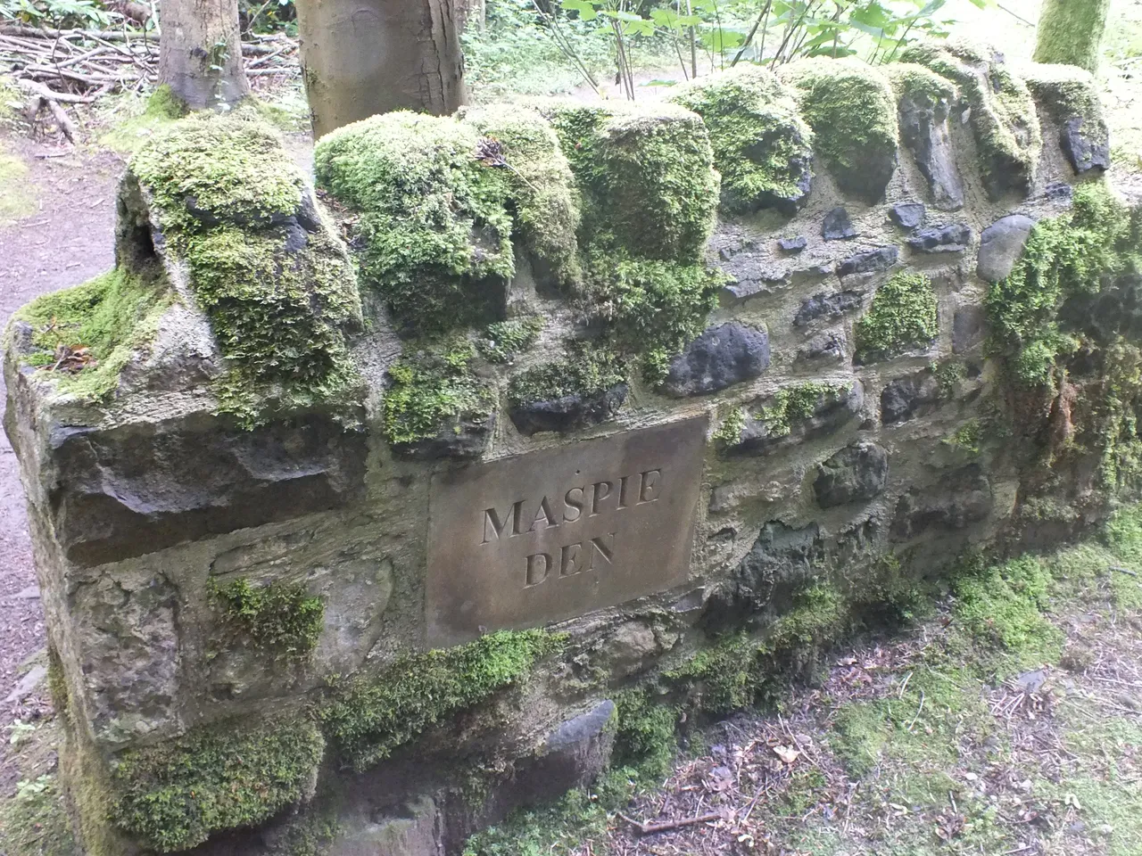 DSCF6494.JPG