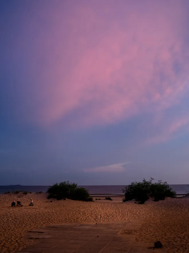 DSC08090.jpg