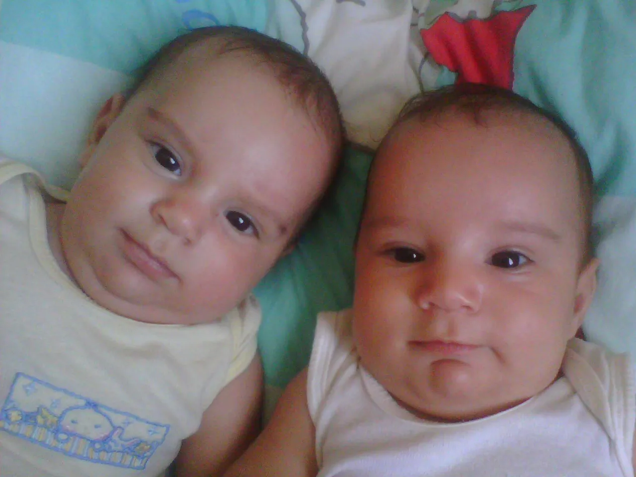 IMG0021A.jpg