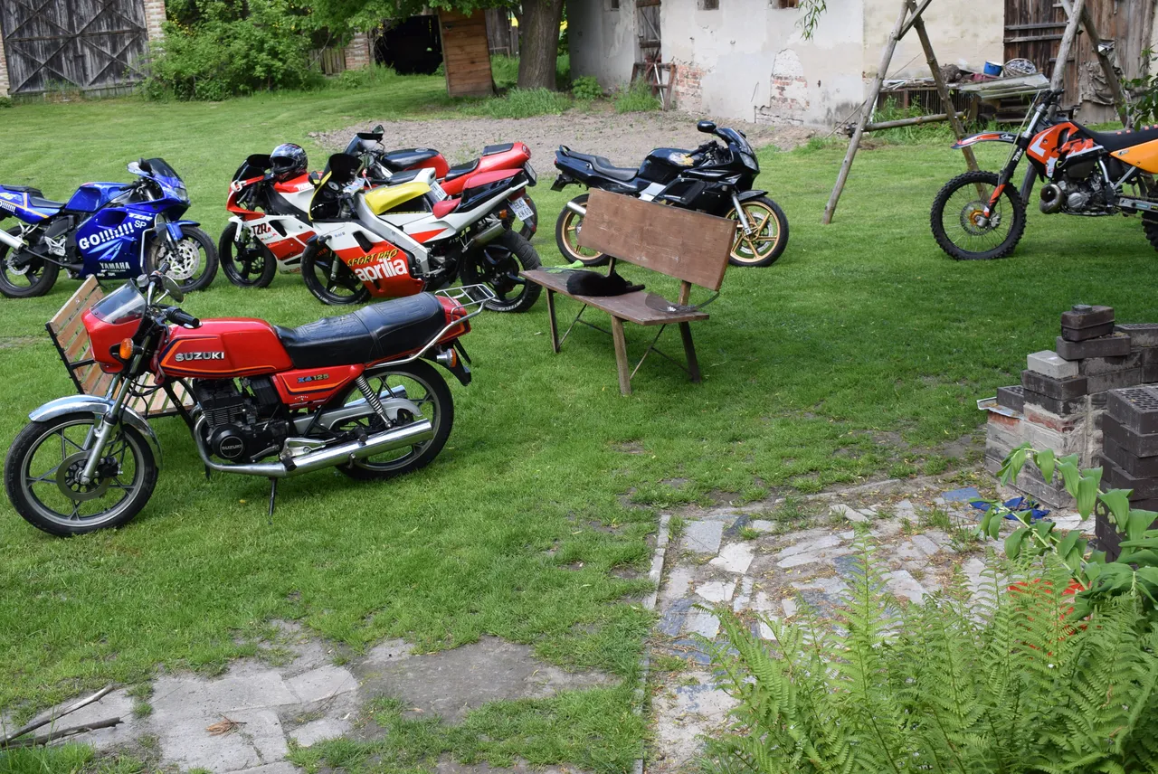 DSC_0524.JPG
