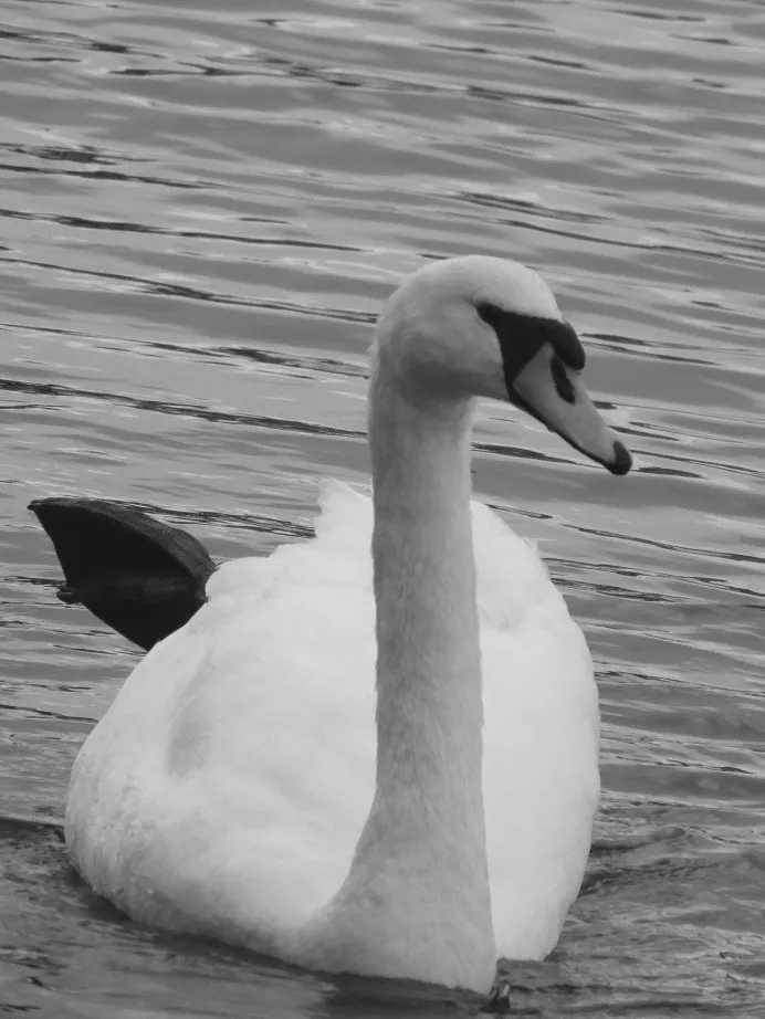 DSCF6228.JPG