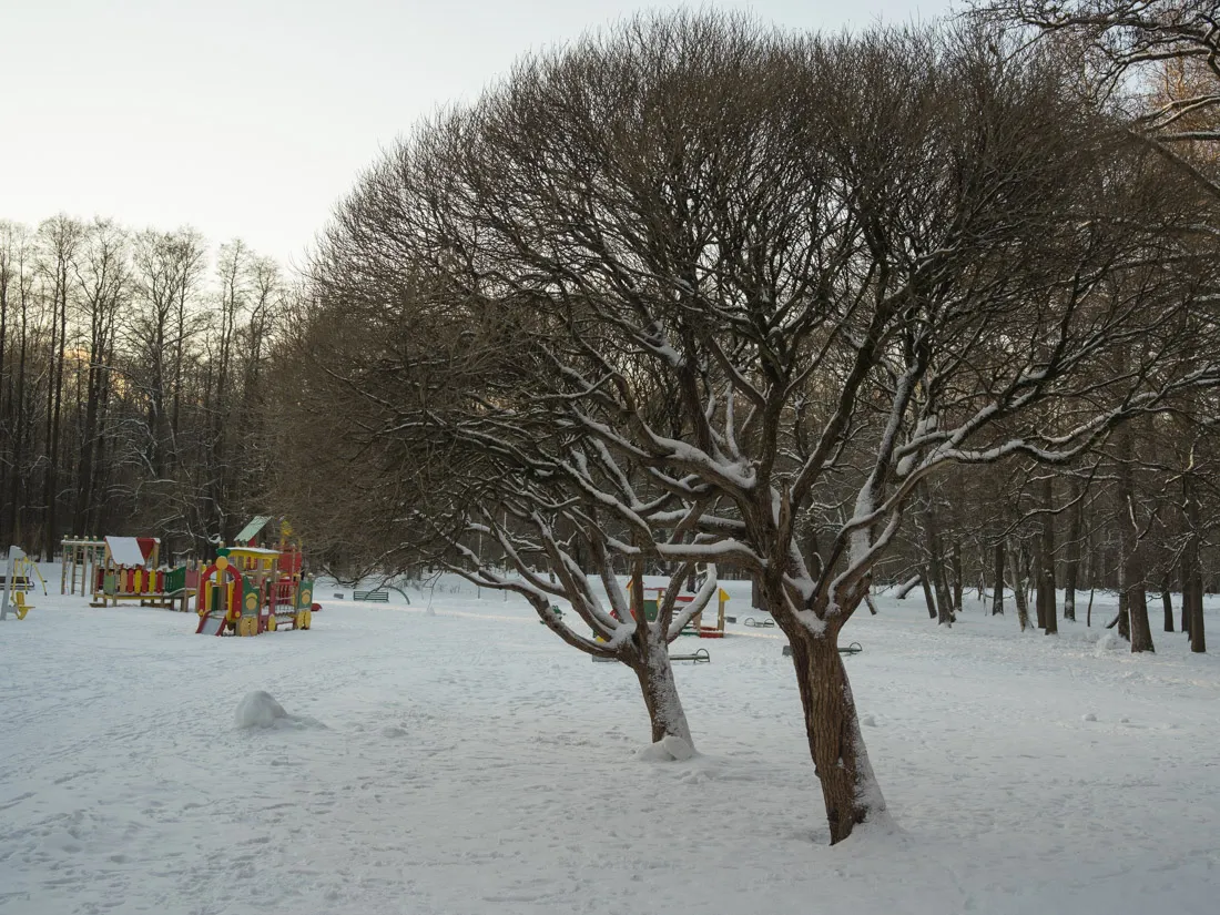 DSC09830.jpg