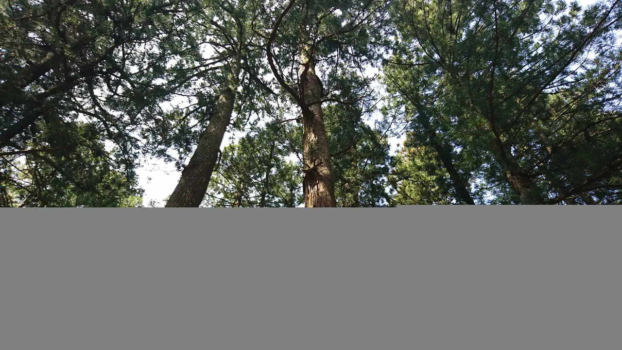 DSC_3777.JPG