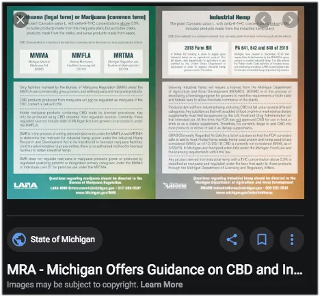 michigan.jpg