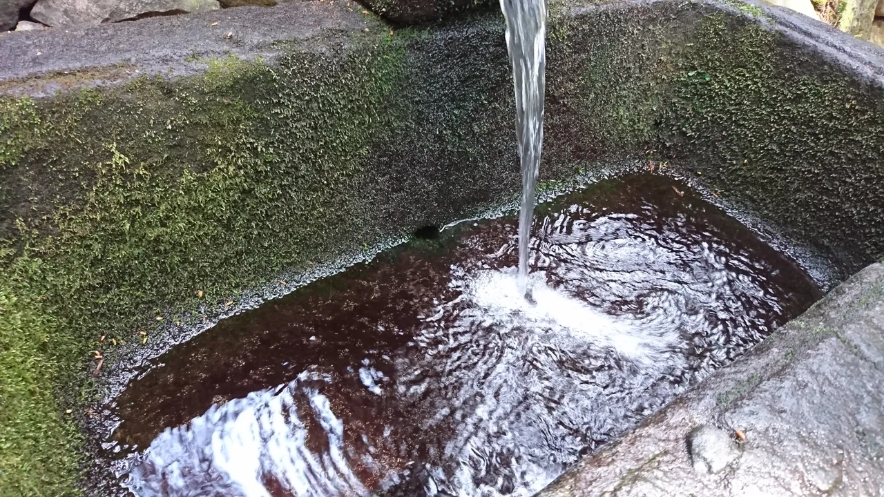 DSC_3772.JPG