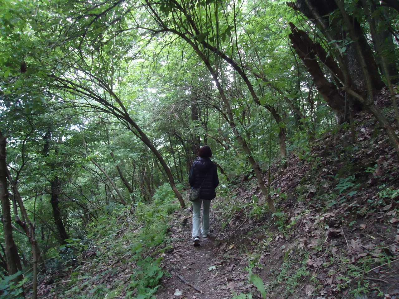 DSC00905.JPG