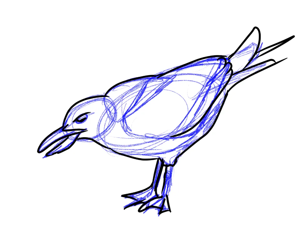 Seagull3.PNG