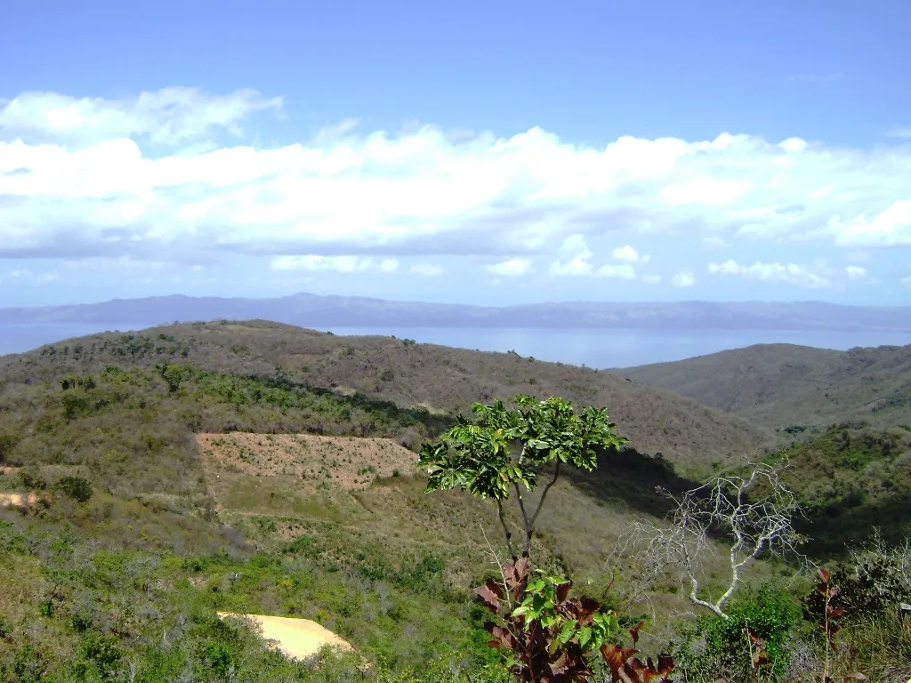 DSC01255.JPG
