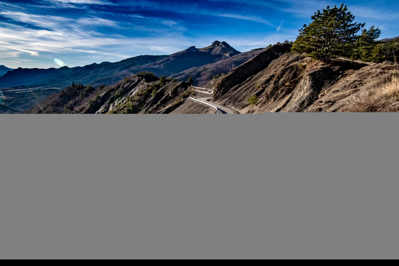 DSC_2519.jpg