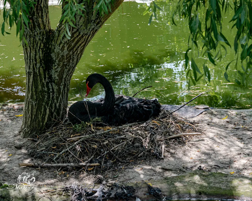 DSC_0167.jpg