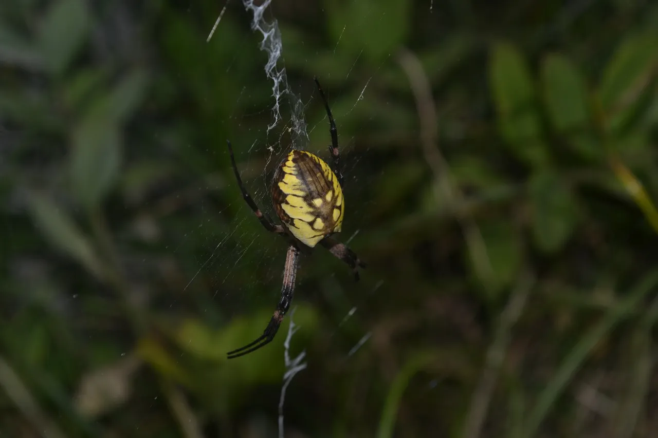 DSC_0193.JPG