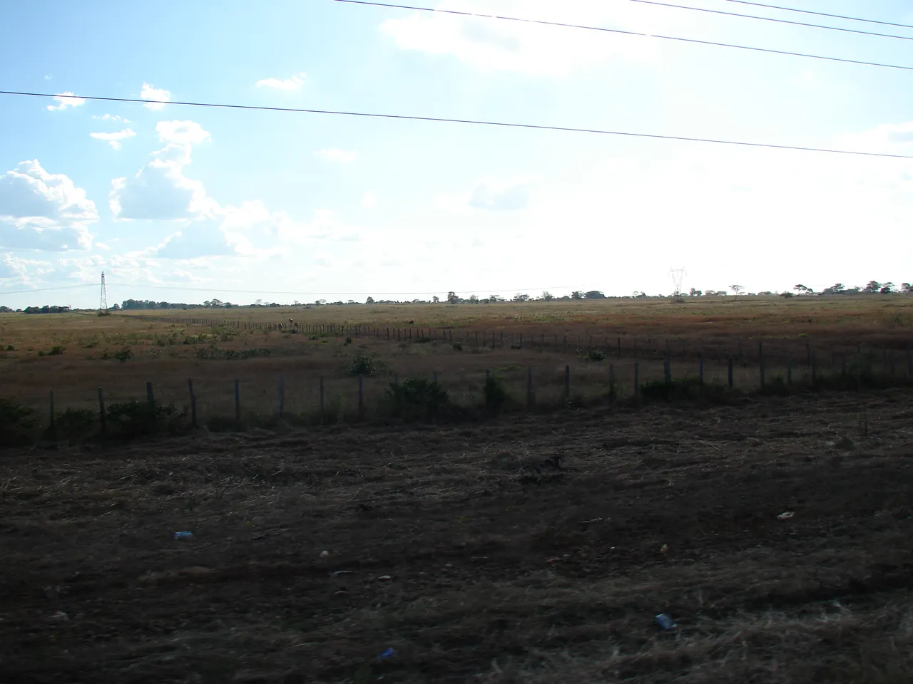 DSC01394.JPG
