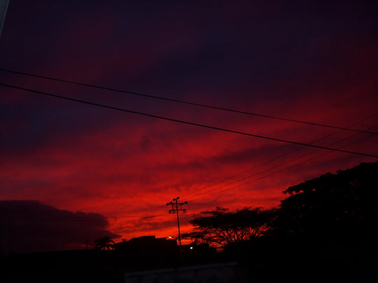 100_9815.JPG