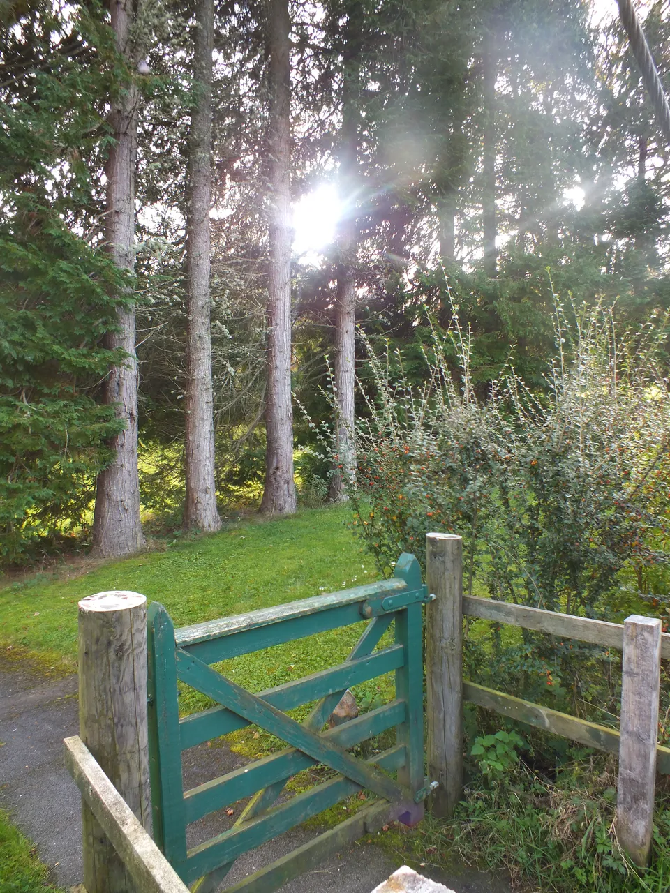 DSCF1048.JPG