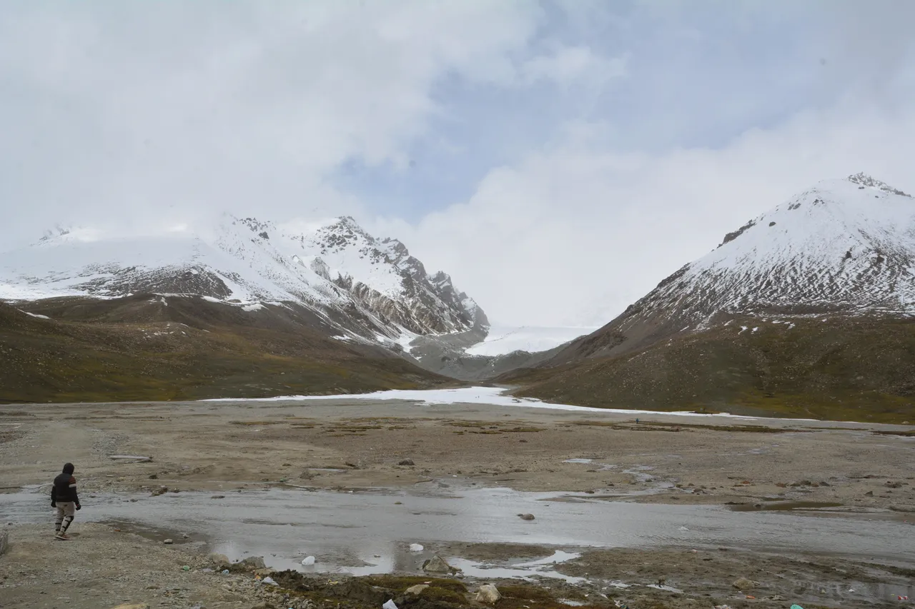 DSC_9507.png