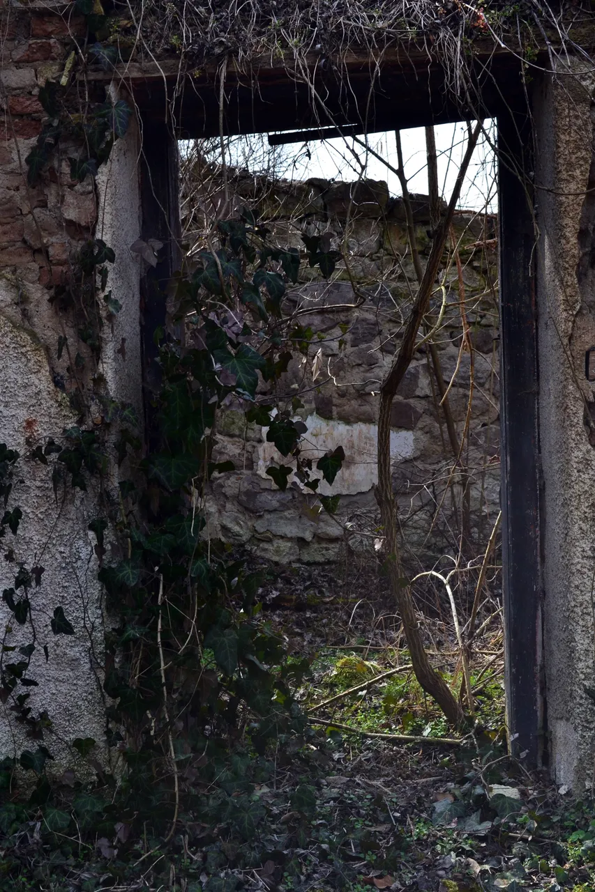 DSC_0132.JPG