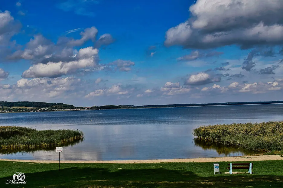 "DSC_0209.jpg"