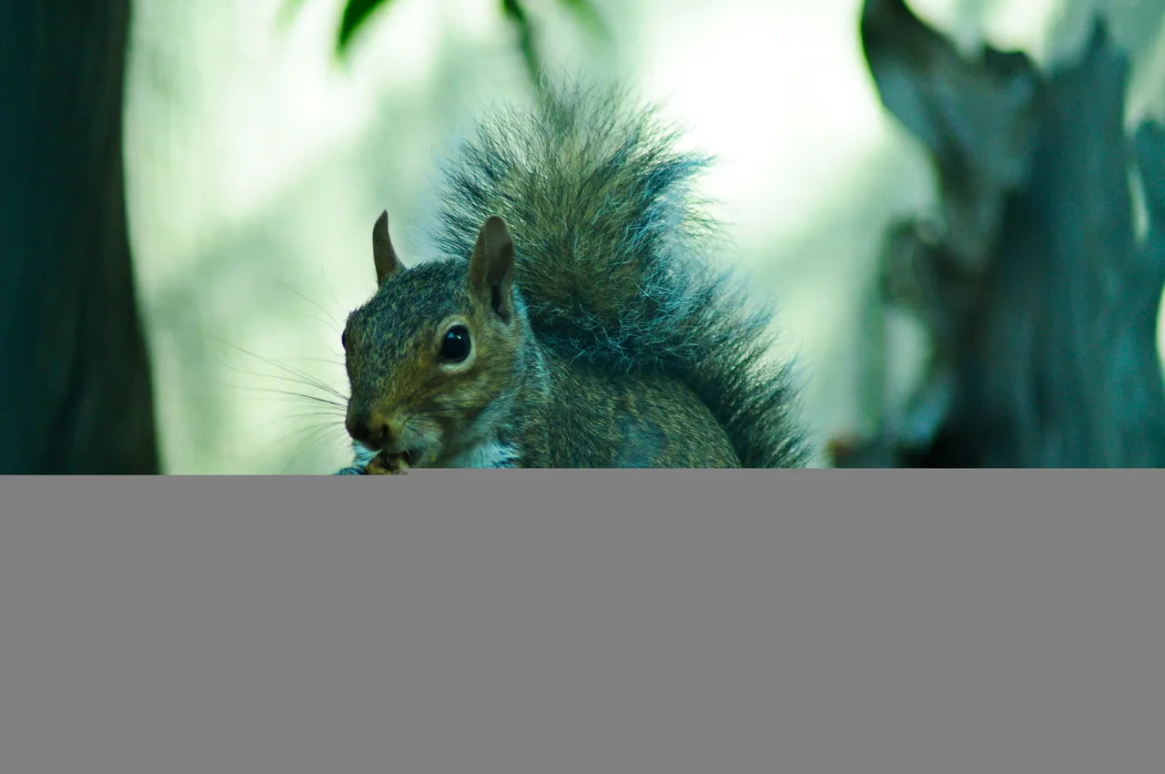 _DSC7866.JPG