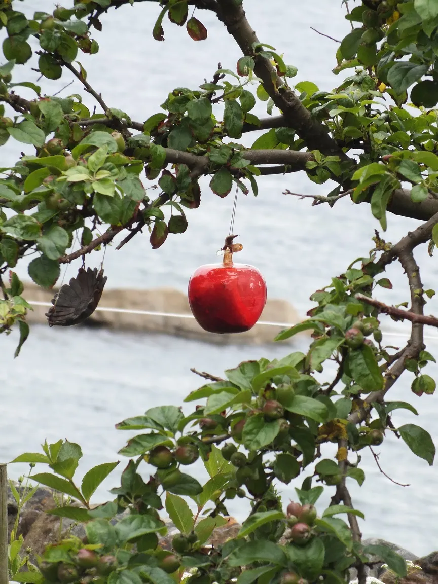 DSCF8115.JPG