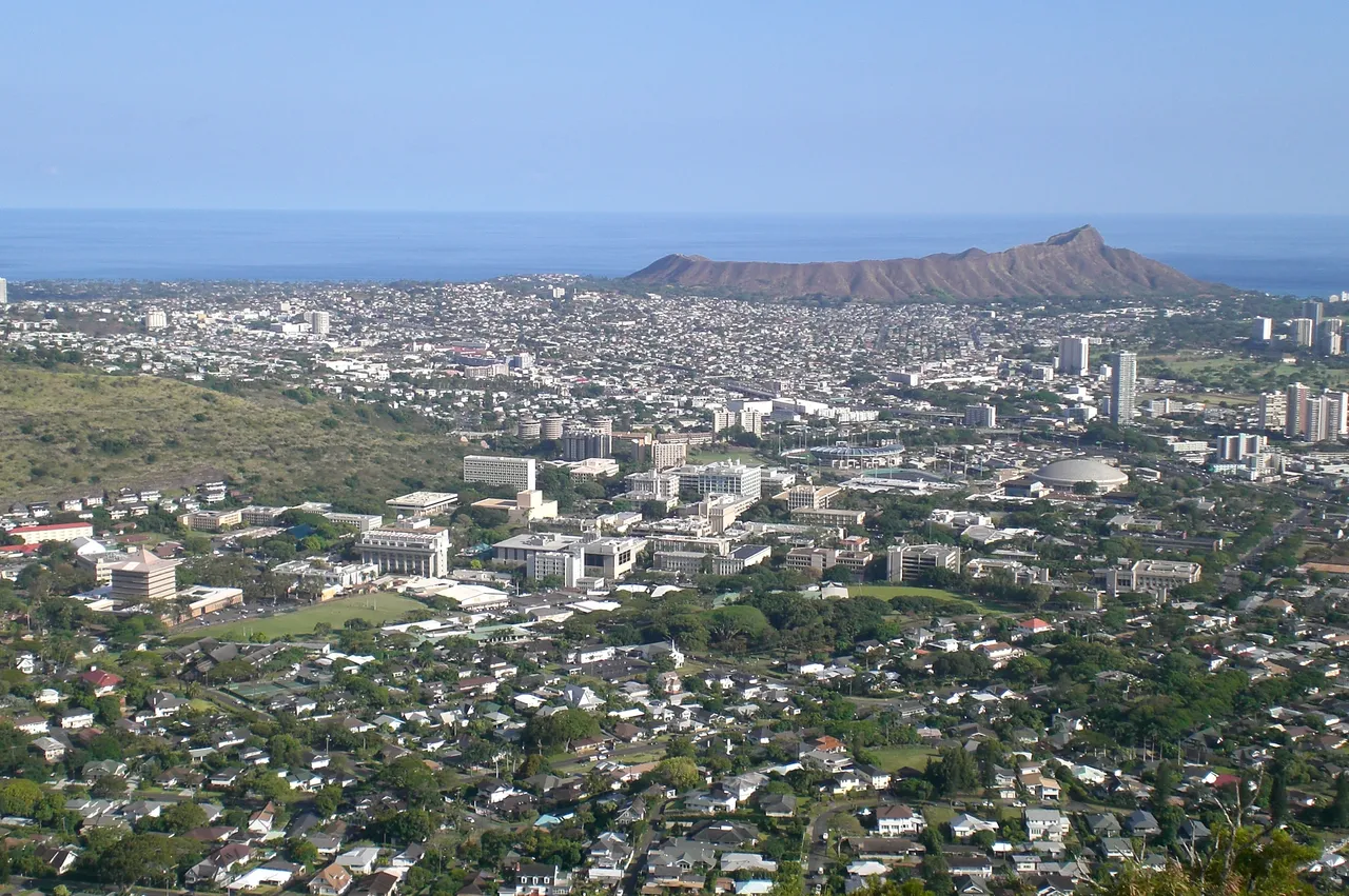 CIMG0344.JPG