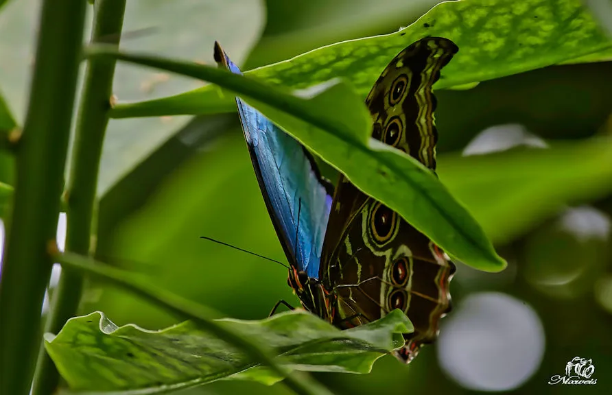 DSC_0588.jpg