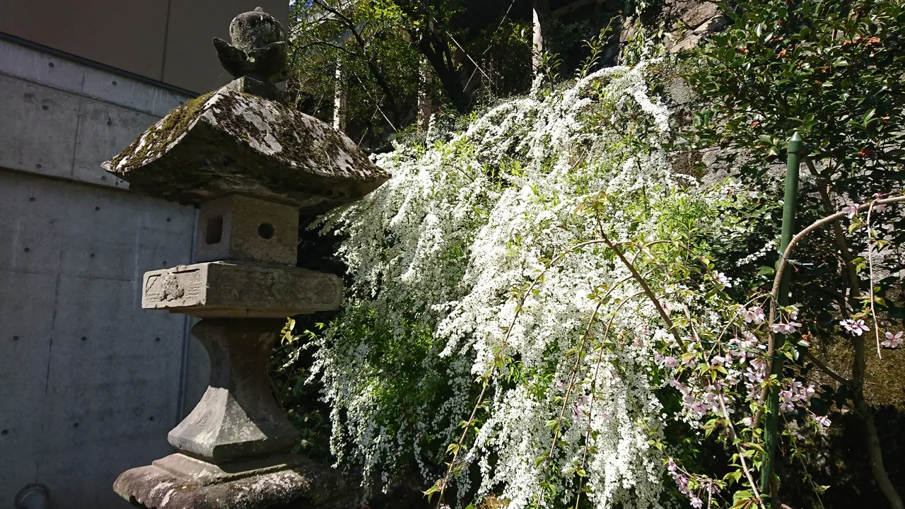 DSC_3876.JPG