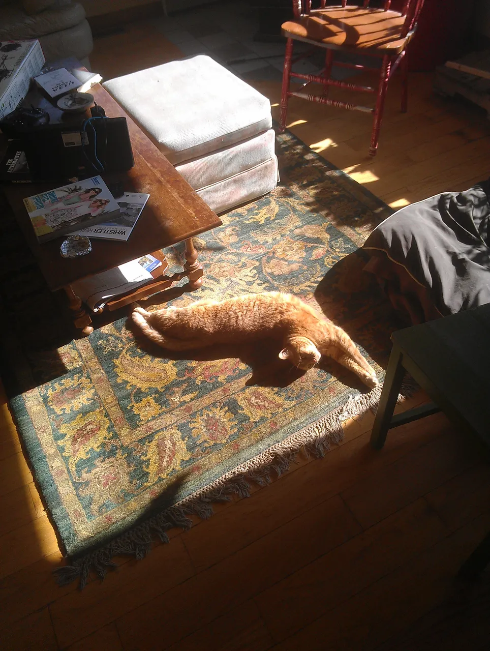 IMAG0354.jpg